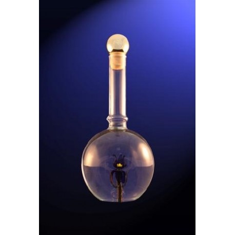 Promotional bottle with car